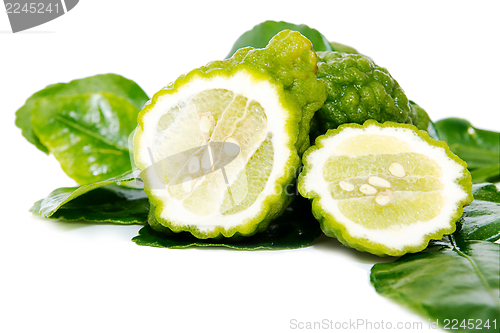 Image of Fresh green lime. Kafir