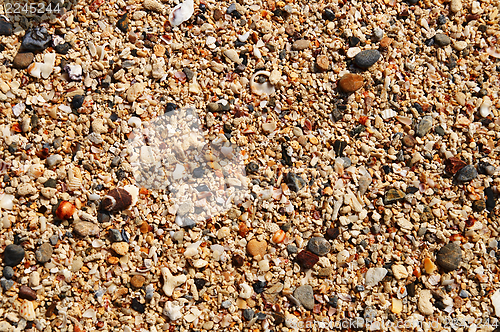 Image of Pebble. shingle. Natural texture