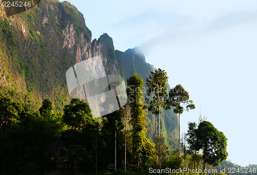 Image of High cliffs on the tropical island