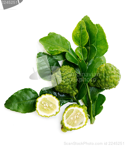 Image of Fresh green lime. Kafir