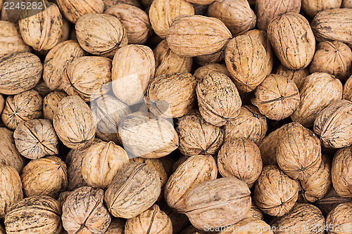 Image of Walnuts