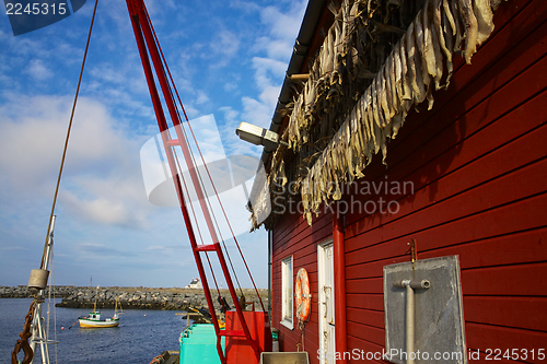 Image of Fishing port