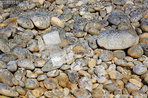 Image of Pebbles