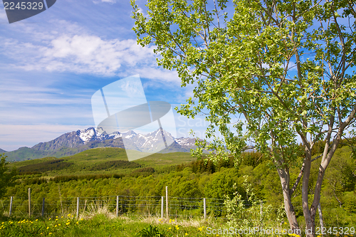 Image of Summer in Norway