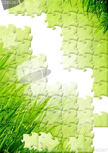 Image of Green grass