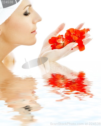 Image of red petals in water #3