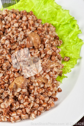 Image of buckwheat