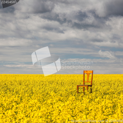 Image of Lonely chair on the empty rape field