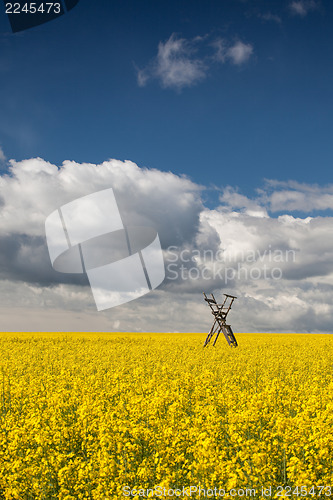 Image of Hunting tower on the rape field