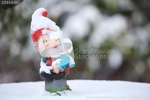 Image of Garden gnome