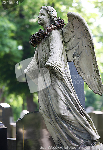 Image of Angel statue on Zentralfriedhof