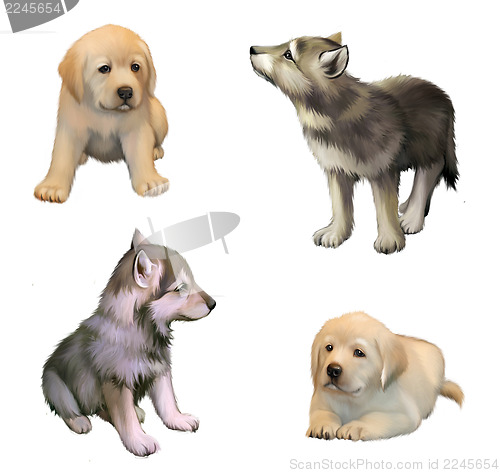 Image of cute little puppies of yellow labrador retriever and siberian husky. isolated illustration on white background