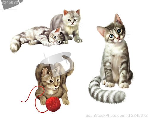 Image of Playing cats. Kitten with ball. Two cute Small gray tabby Kittens, Isolated Illustration on white background.