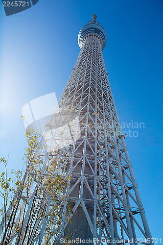 Image of Tokyo Sky Tree