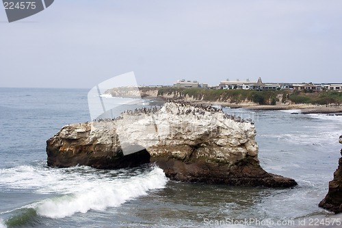 Image of Big Sur, California