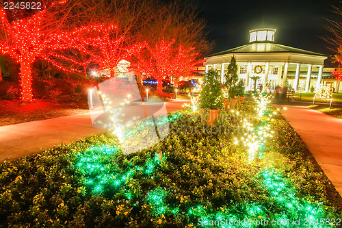 Image of garden night scene at christmas time in the carolinas