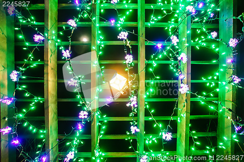 Image of garden night scene at christmas time in the carolinas