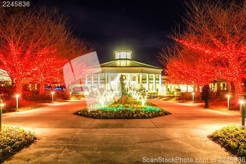 Image of garden night scene at christmas time in the carolinas