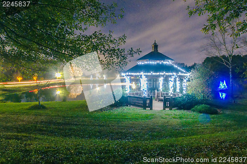 Image of garden night scene at christmas time in the carolinas