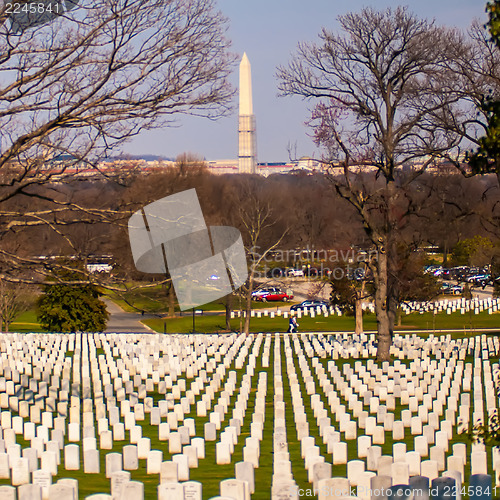 Image of at arlington cemetary