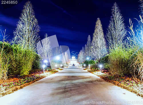 Image of garden night scene at christmas time in the carolinas