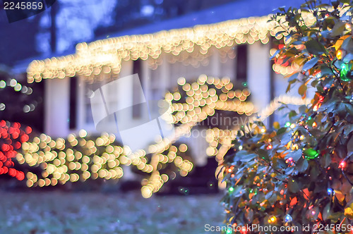 Image of garden night scene at christmas time in the carolinas