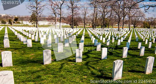 Image of at arlington cemetary