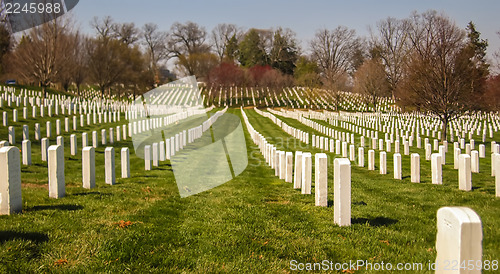 Image of at arlington cemetary