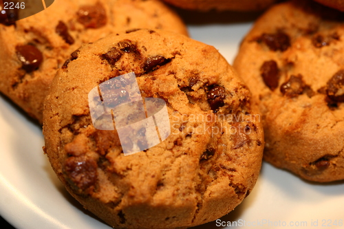 Image of Cookies