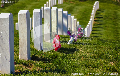 Image of at arlington cemetary