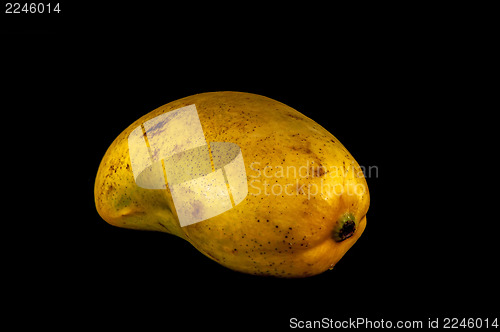 Image of champagne ataulfo mango closeup isolated 