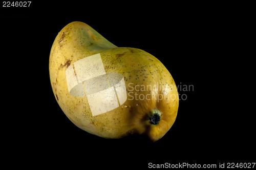 Image of champagne ataulfo mango closeup isolated 