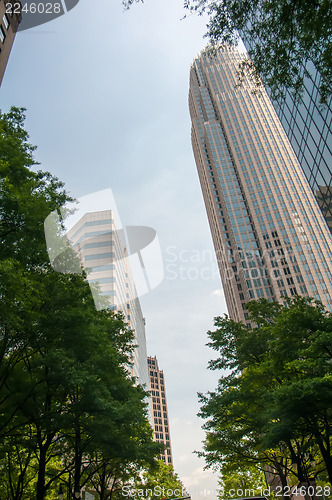 Image of Uptown Charlotte, North Carolina Cityscape