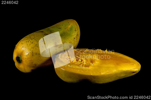 Image of champagne ataulfo mango closeup isolated 