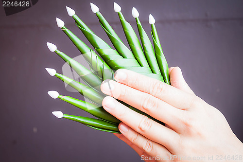 Image of Hands worship a part of rice offering