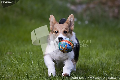 Image of running with a ball