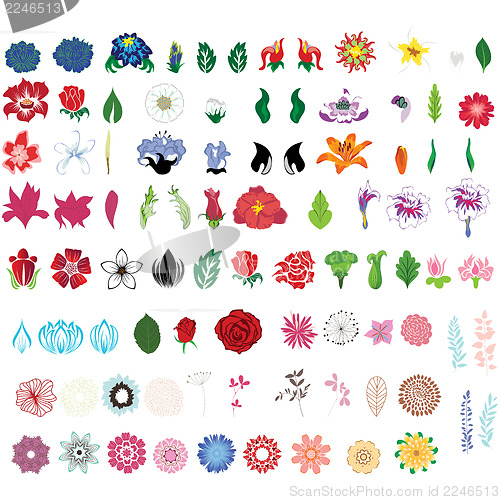 Image of flower set