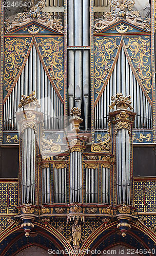 Image of Organ