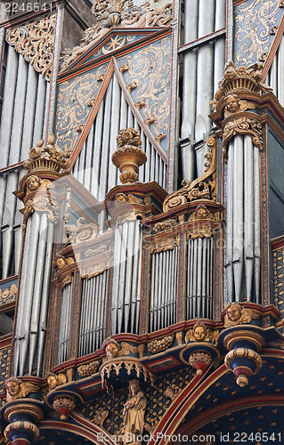 Image of Organ