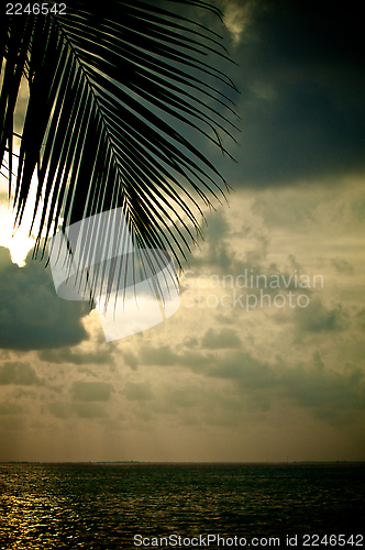 Image of Sunset