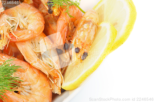 Image of Shrimps