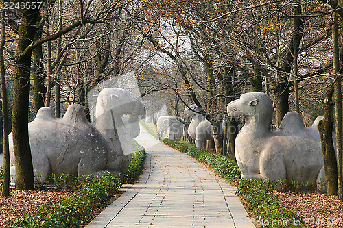 Image of Ming Xiaoling Mausoleum