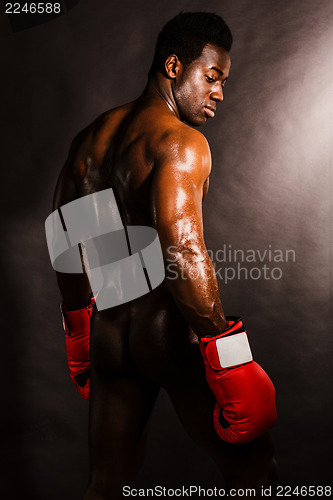 Image of African boxer turning back