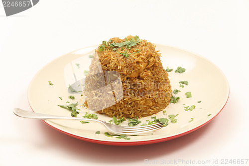 Image of Chicken biryani moulded