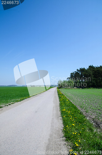 Image of Road in a rural landscape