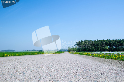 Image of Road at springtime