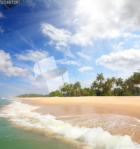 Image of beautiful beach landscape