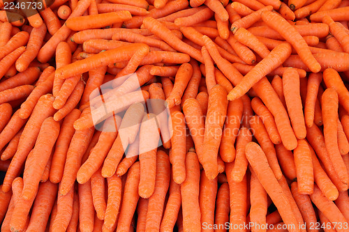 Image of ripe carrot - food background