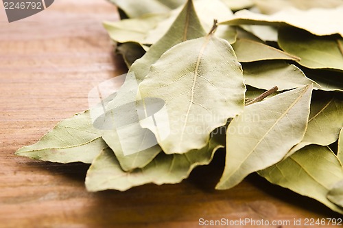 Image of bay leafs