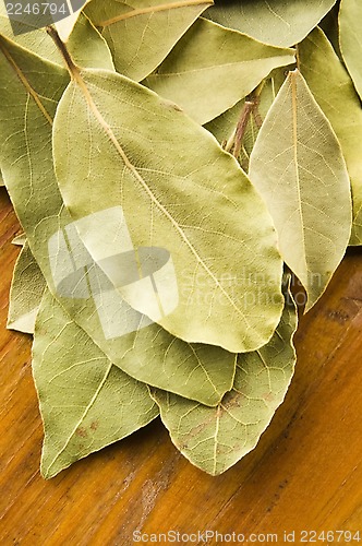 Image of bay leafs